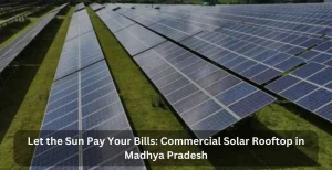 Solar Power Plant Installation in Madhya Pradesh