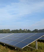 Agrivoltaics in India: How Dual-Use Solar Farming is Reshaping Agriculture and Energy